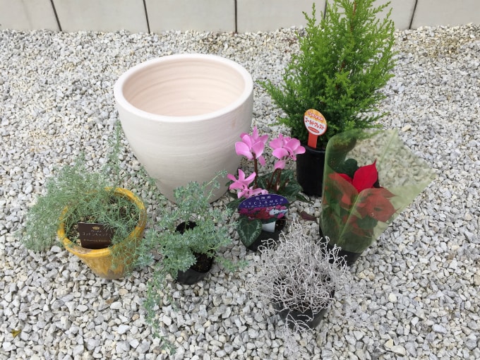 初心者でも簡単 おしゃれな植木鉢で 冬の寄せ植え クリスマスバーションを作ろう 鉢人blog
